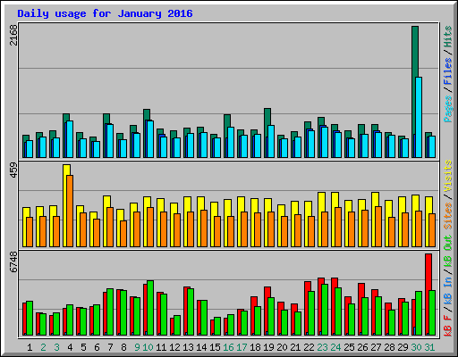 Daily usage for January 2016