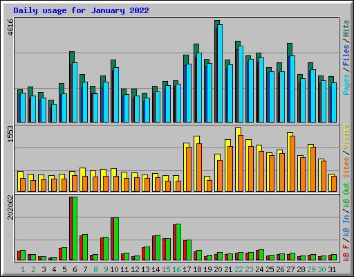 Daily usage for January 2022