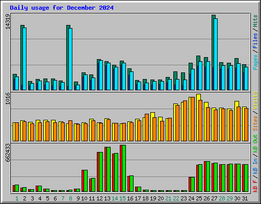 Daily usage for December 2024