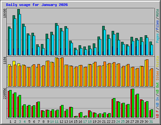Daily usage for January 2026