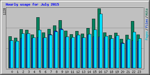 Hourly usage for July 2015