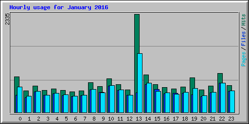 Hourly usage for January 2016