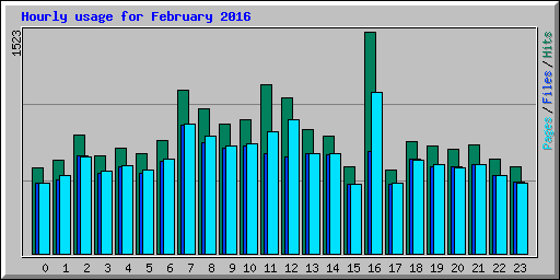 Hourly usage for February 2016
