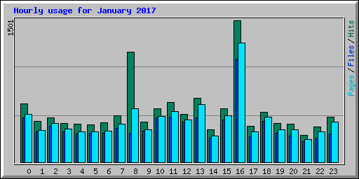Hourly usage for January 2017
