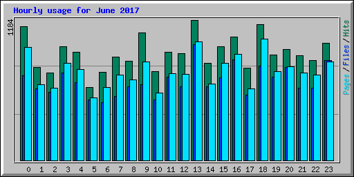 Hourly usage for June 2017