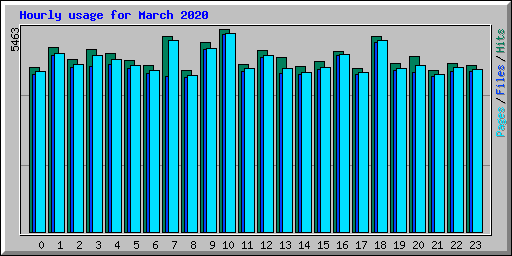Hourly usage for March 2020