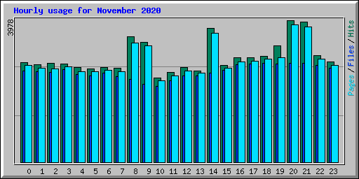 Hourly usage for November 2020
