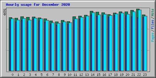 Hourly usage for December 2020