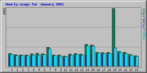 Hourly usage for January 2021
