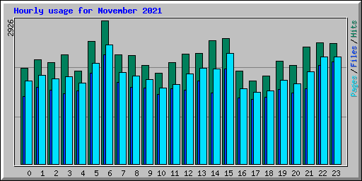Hourly usage for November 2021