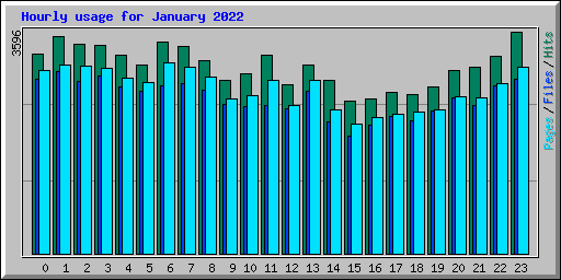 Hourly usage for January 2022