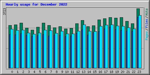Hourly usage for December 2022