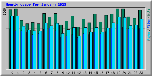 Hourly usage for January 2023