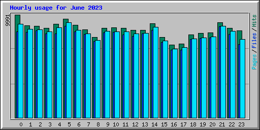 Hourly usage for June 2023