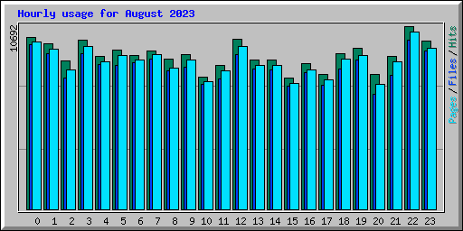 Hourly usage for August 2023