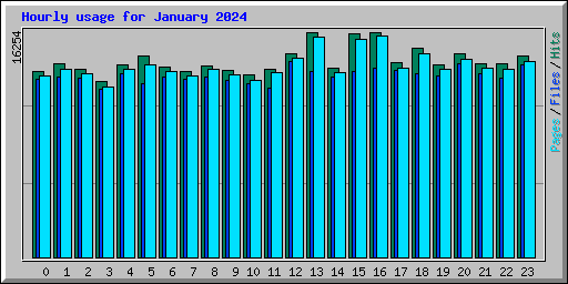 Hourly usage for January 2024