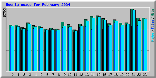 Hourly usage for February 2024