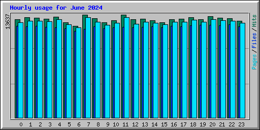 Hourly usage for June 2024