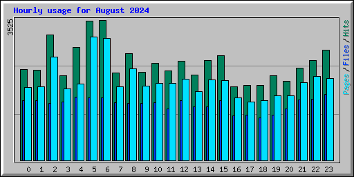 Hourly usage for August 2024