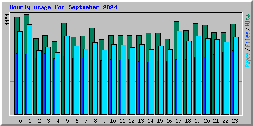 Hourly usage for September 2024