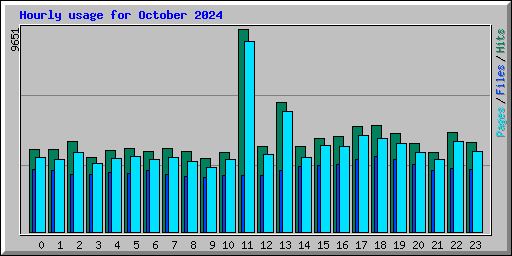 Hourly usage for October 2024