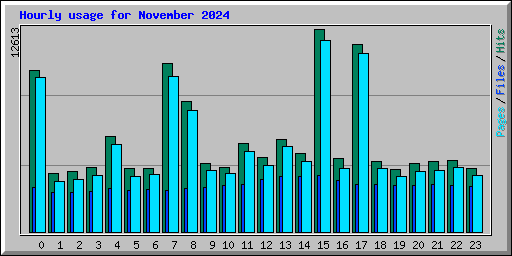 Hourly usage for November 2024