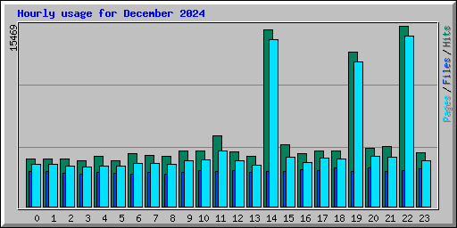 Hourly usage for December 2024