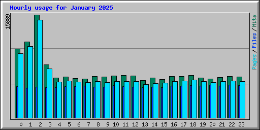 Hourly usage for January 2025