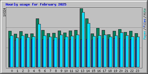 Hourly usage for February 2025