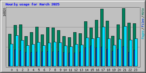Hourly usage for March 2025