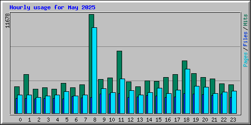 Hourly usage for May 2025