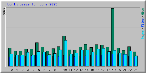 Hourly usage for June 2025