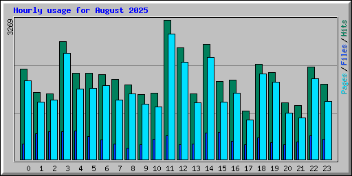 Hourly usage for August 2025