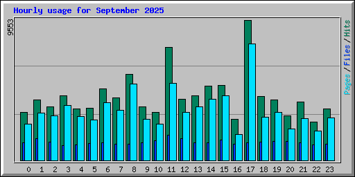Hourly usage for September 2025