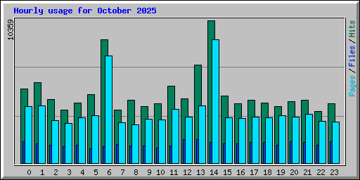 Hourly usage for October 2025