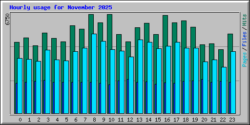 Hourly usage for November 2025