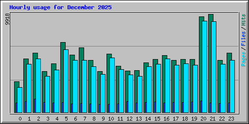 Hourly usage for December 2025
