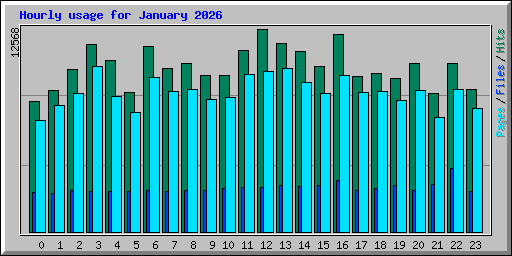 Hourly usage for January 2026