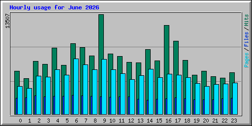 Hourly usage for June 2026