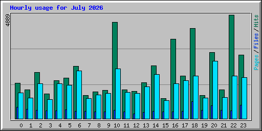 Hourly usage for July 2026